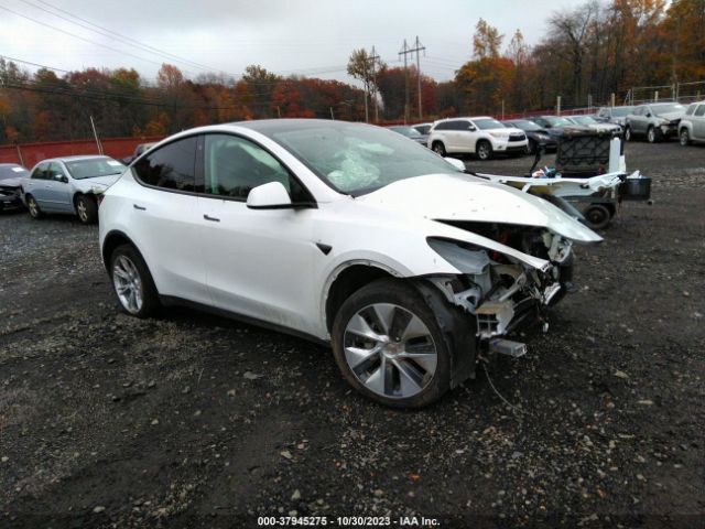 TESLA MODEL Y 2021 5yjygdee7mf114255