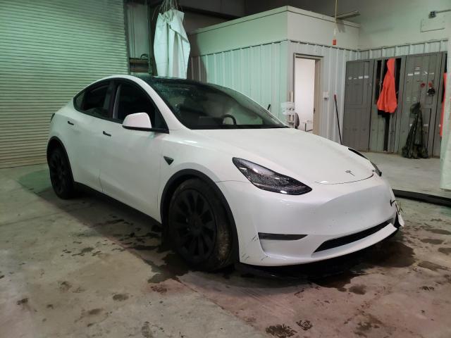 TESLA MODEL Y 2021 5yjygdee7mf123800