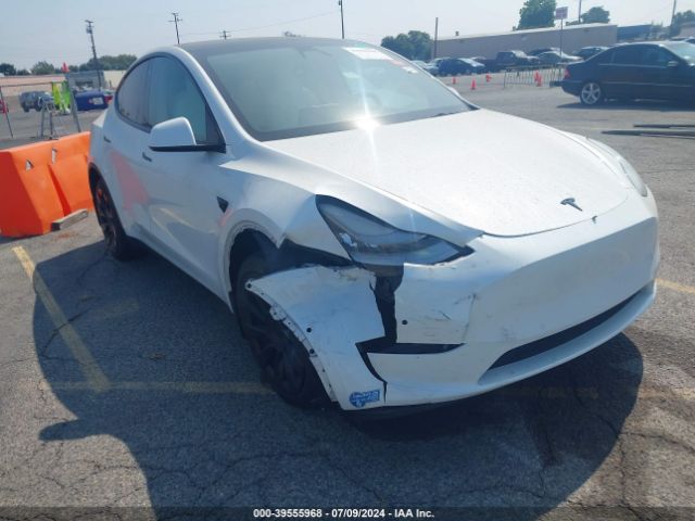 TESLA MODEL Y 2021 5yjygdee7mf139186