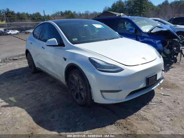 TESLA MODEL Y 2021 5yjygdee7mf194351