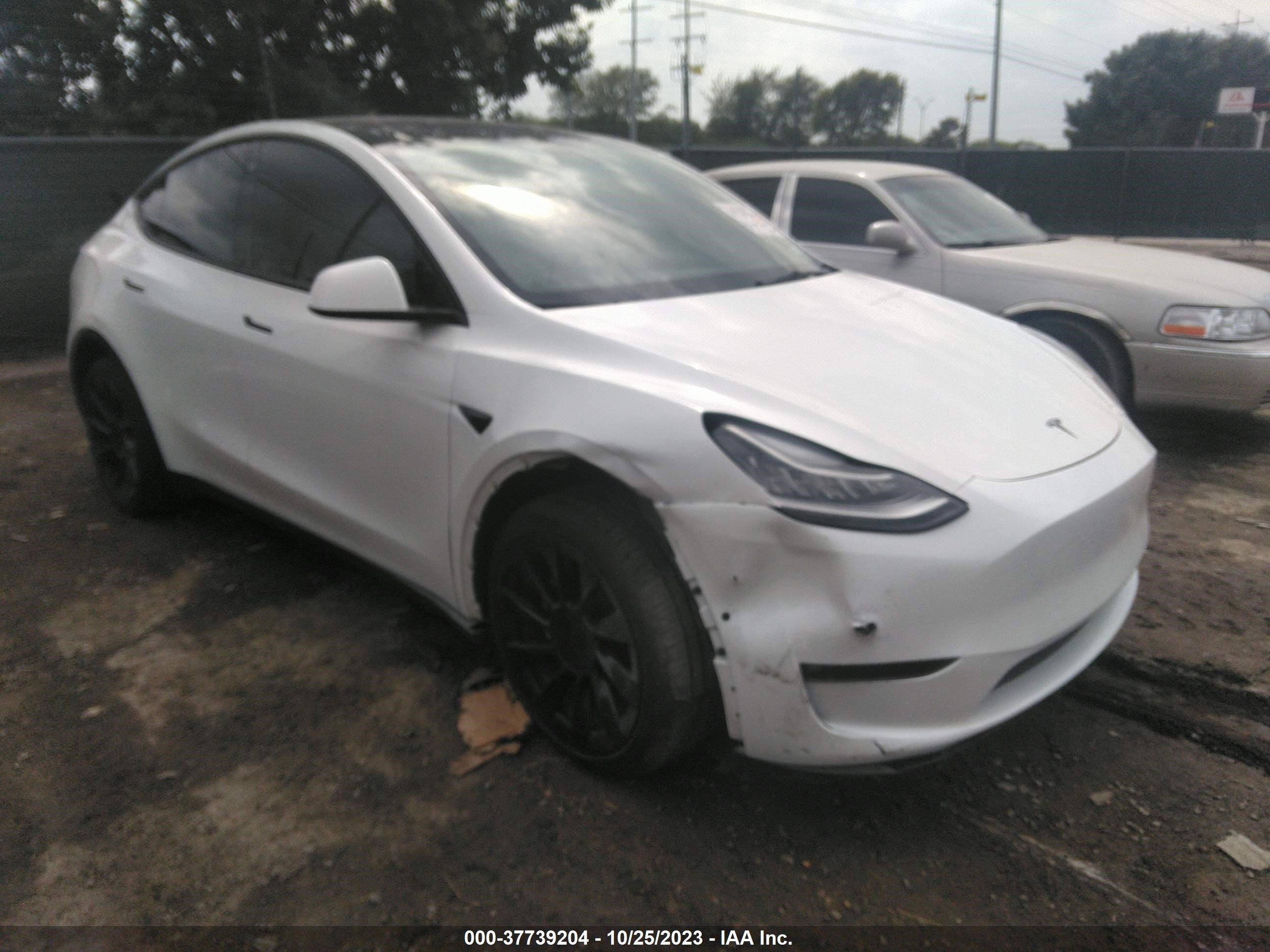 TESLA MODEL Y 2021 5yjygdee7mf195757