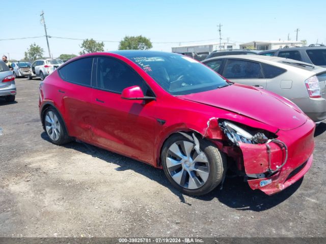 TESLA MODEL Y 2021 5yjygdee7mf214971