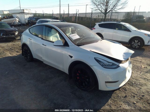 TESLA MODEL Y 2021 5yjygdee7mf228594