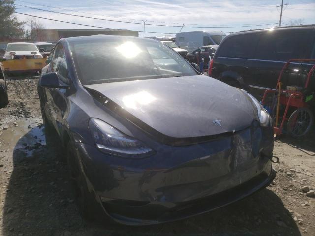 TESLA MODEL Y 2021 5yjygdee7mf254239