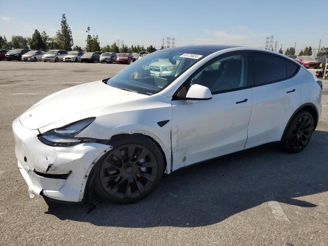 TESLA MODEL Y 2021 5yjygdee7mf272580