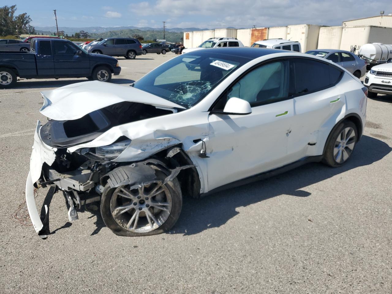 TESLA MODEL Y 2021 5yjygdee7mf282607