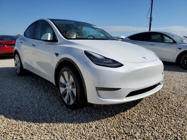 TESLA MODEL Y 2021 5yjygdee7mf283532