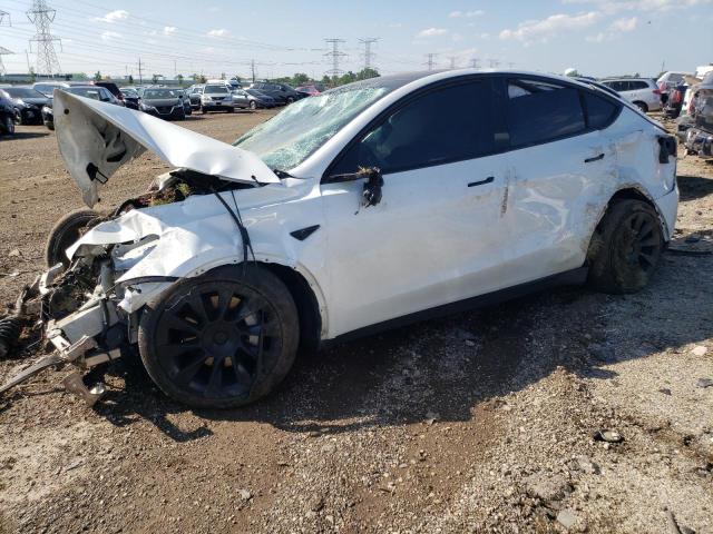 TESLA MODEL Y 2021 5yjygdee7mf295910