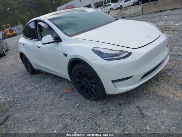 TESLA MODEL Y 2020 5yjygdee8lf014602