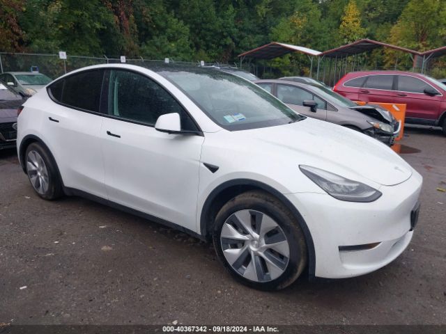 TESLA MODEL Y 2020 5yjygdee8lf017032