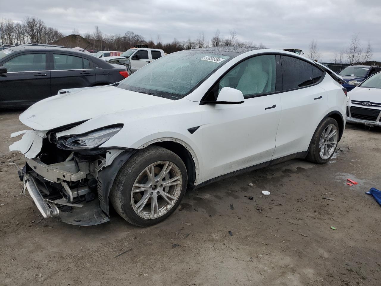 TESLA MODEL Y 2021 5yjygdee8mf081301