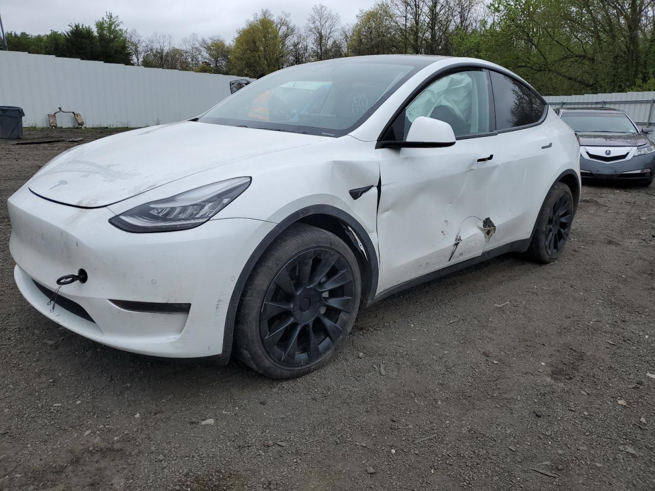 TESLA MODEL Y 2021 5yjygdee8mf084375