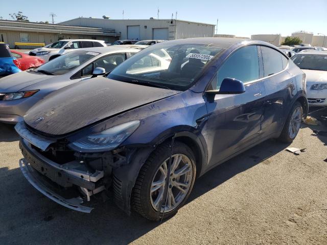 TESLA MODEL Y 2021 5yjygdee8mf095991