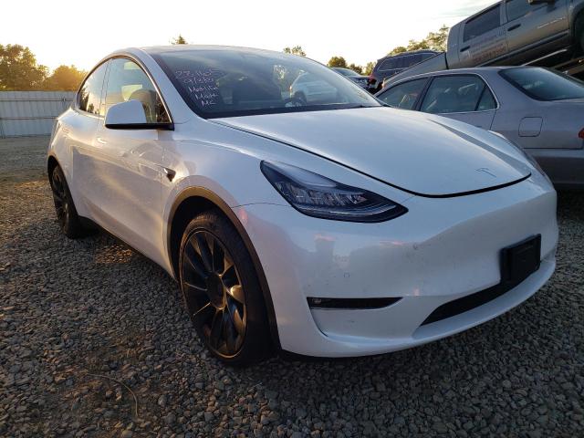 TESLA MODEL Y 2021 5yjygdee8mf115446