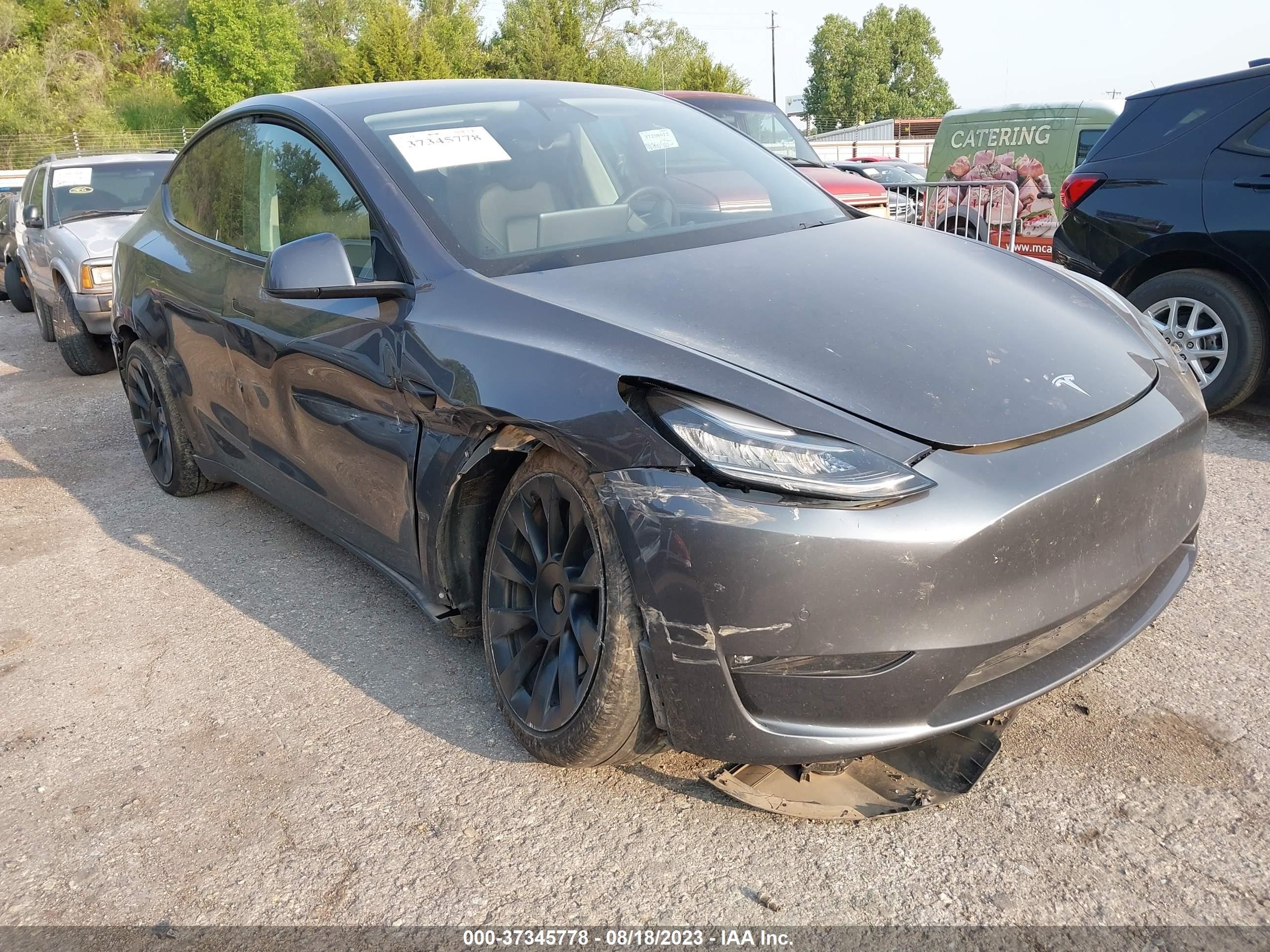 TESLA MODEL Y 2021 5yjygdee8mf141142