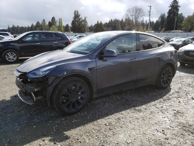 TESLA MODEL Y 2021 5yjygdee8mf158703