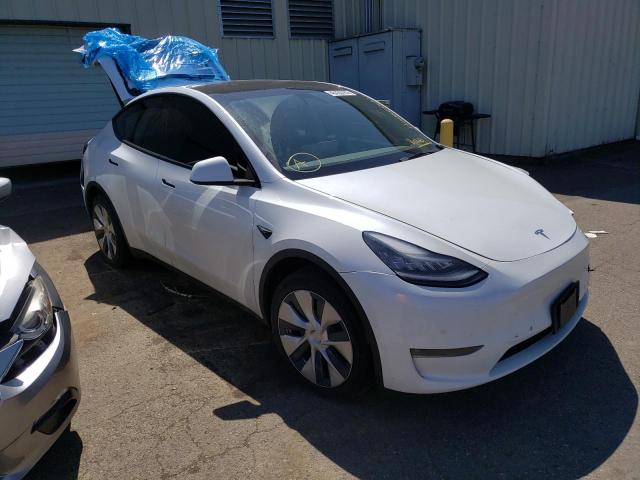 TESLA MODEL Y 2021 5yjygdee8mf160239