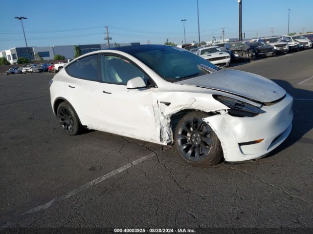 TESLA MODEL Y 2021 5yjygdee8mf160841