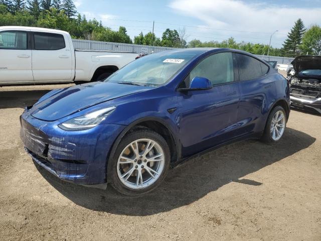 TESLA MODEL Y 2021 5yjygdee8mf184301