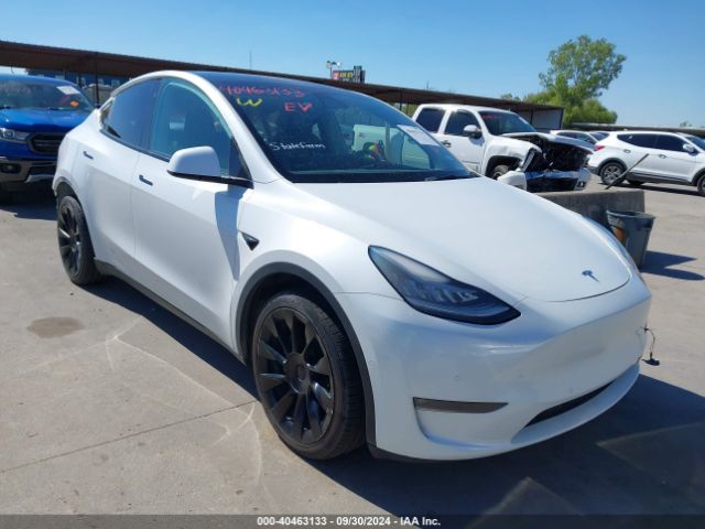 TESLA MODEL Y 2021 5yjygdee8mf192169