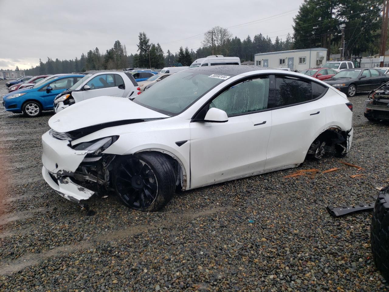 TESLA MODEL Y 2021 5yjygdee8mf195878