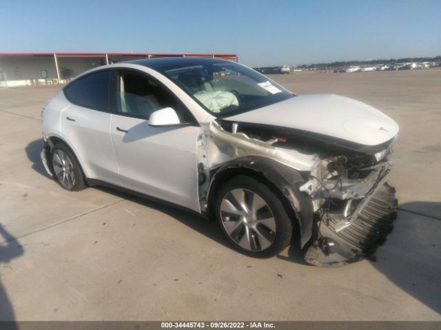 TESLA MODEL Y 2021 5yjygdee8mf200237