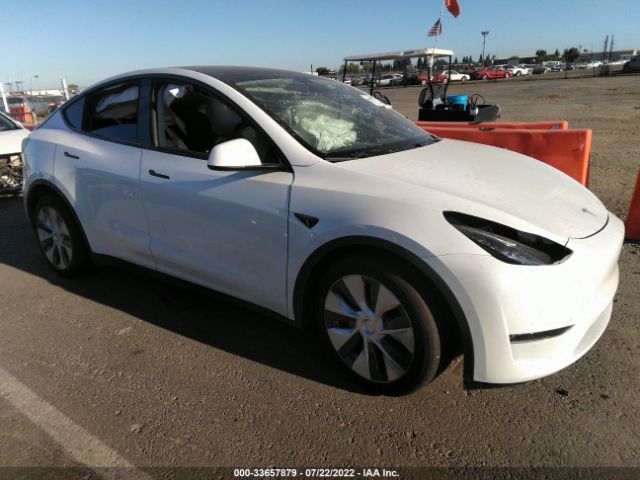 TESLA MODEL Y 2021 5yjygdee8mf213733