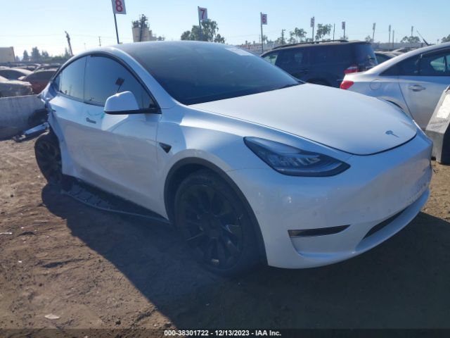 TESLA MODEL Y 2021 5yjygdee8mf240897