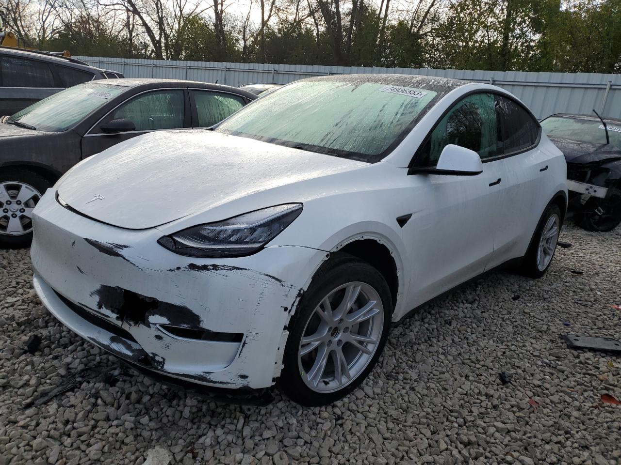 TESLA MODEL Y 2021 5yjygdee8mf241175