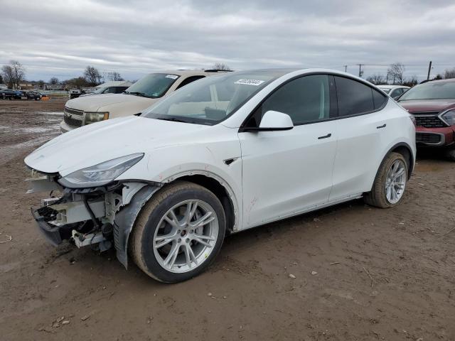 TESLA MODEL Y 2021 5yjygdee8mf253133