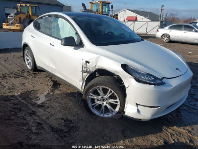 TESLA MODEL Y 2021 5yjygdee8mf263676