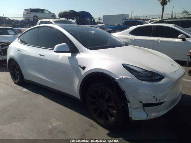 TESLA MODEL Y 2021 5yjygdee8mf272104