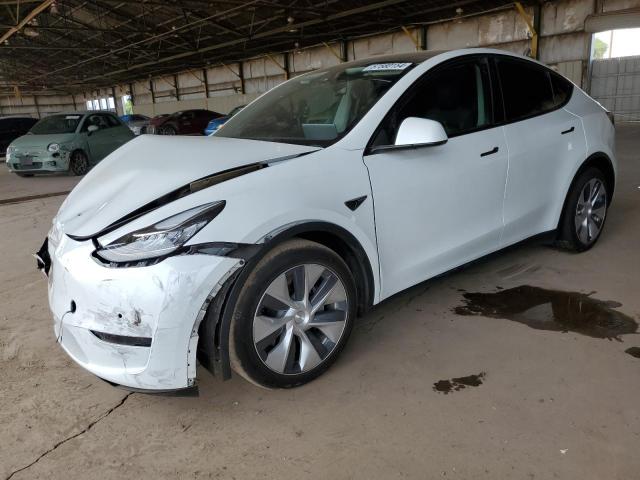 TESLA MODEL Y 2021 5yjygdee8mf284480