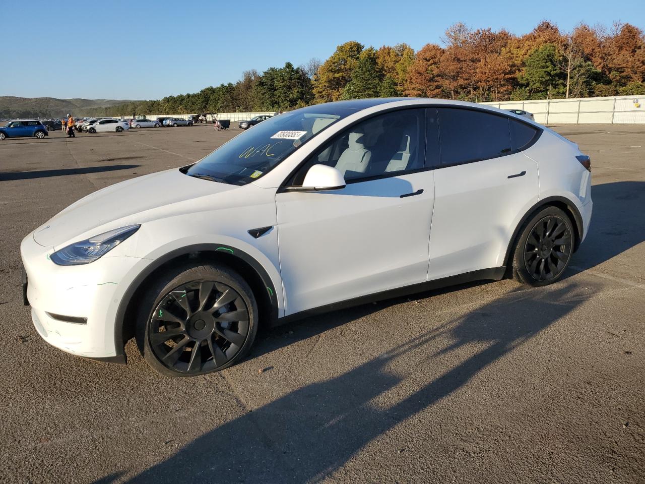 TESLA MODEL Y 2021 5yjygdee8mf285502