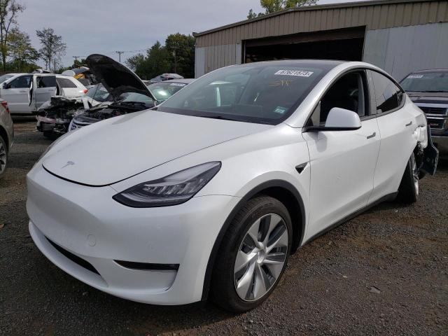 TESLA MODEL Y 2021 5yjygdee8mf300774