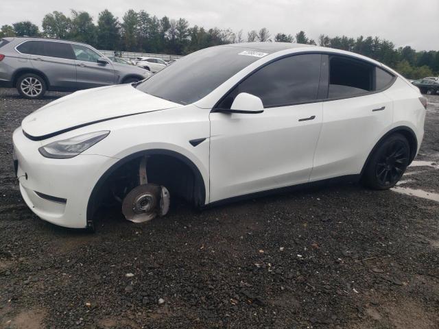 TESLA MODEL Y 2020 5yjygdee9lf008825