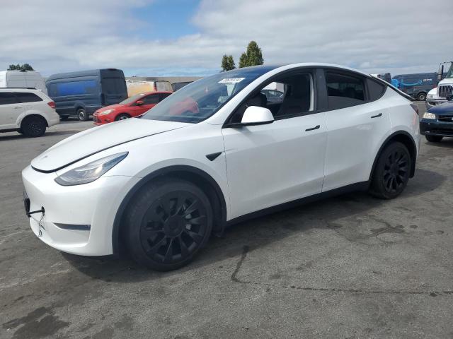 TESLA MODEL Y 2020 5yjygdee9lf011238