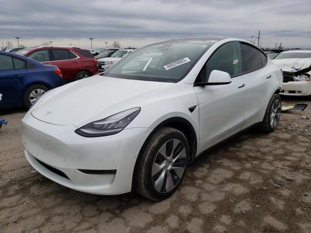 TESLA MODEL Y 2020 5yjygdee9lf011708