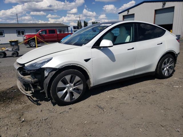 TESLA MODEL Y 2020 5yjygdee9lf018366