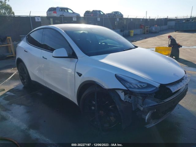 TESLA MODEL Y 2020 5yjygdee9lf022496