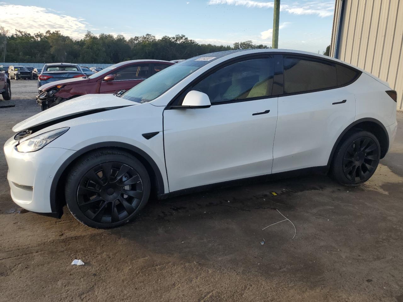 TESLA MODEL Y 2020 5yjygdee9lf025768