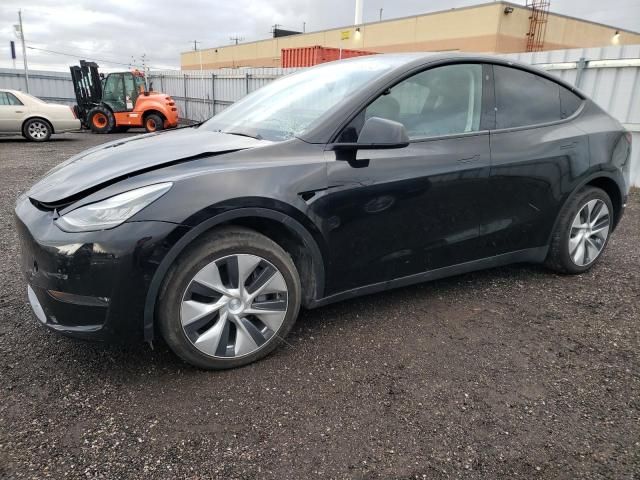 TESLA MODEL Y 2020 5yjygdee9lf026189