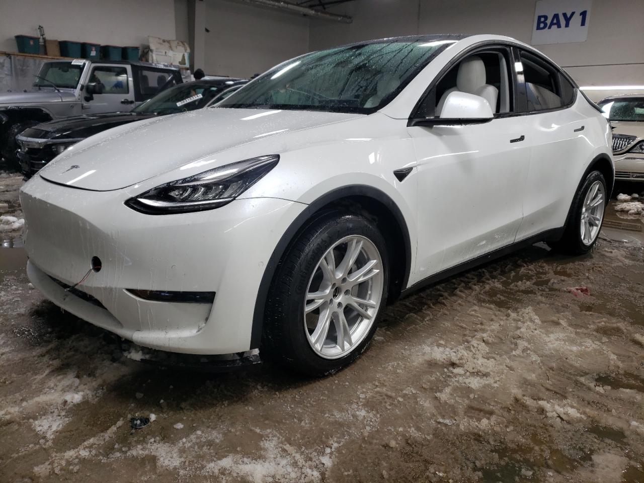 TESLA MODEL Y 2020 5yjygdee9lf032610