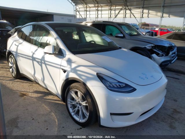 TESLA MODEL Y 2020 5yjygdee9lf043865