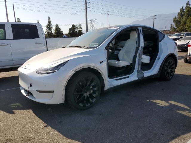 TESLA MODEL Y 2020 5yjygdee9lf056289