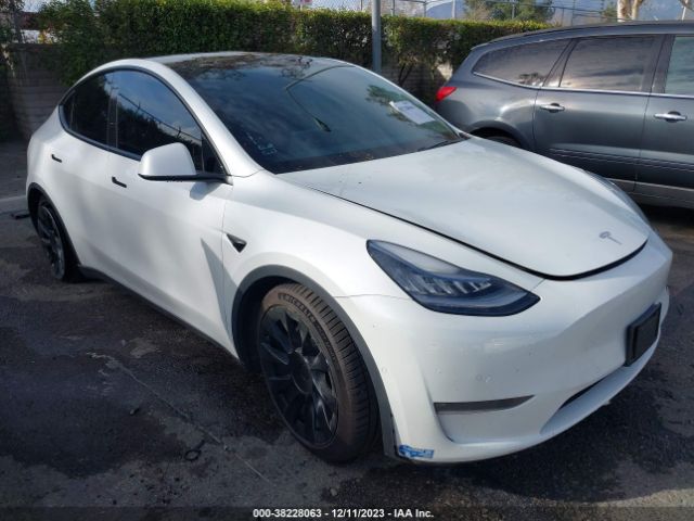 TESLA MODEL Y 2021 5yjygdee9mf082859