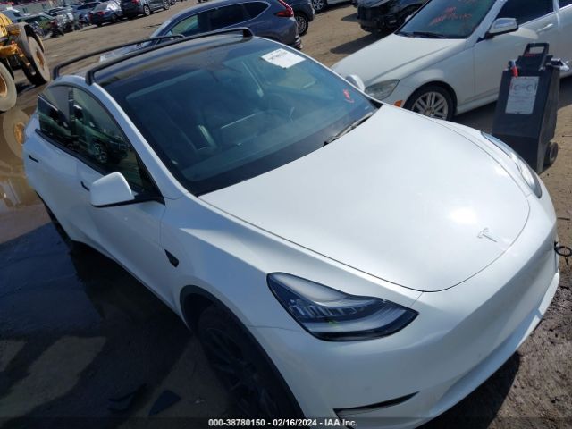 TESLA MODEL Y 2021 5yjygdee9mf084742