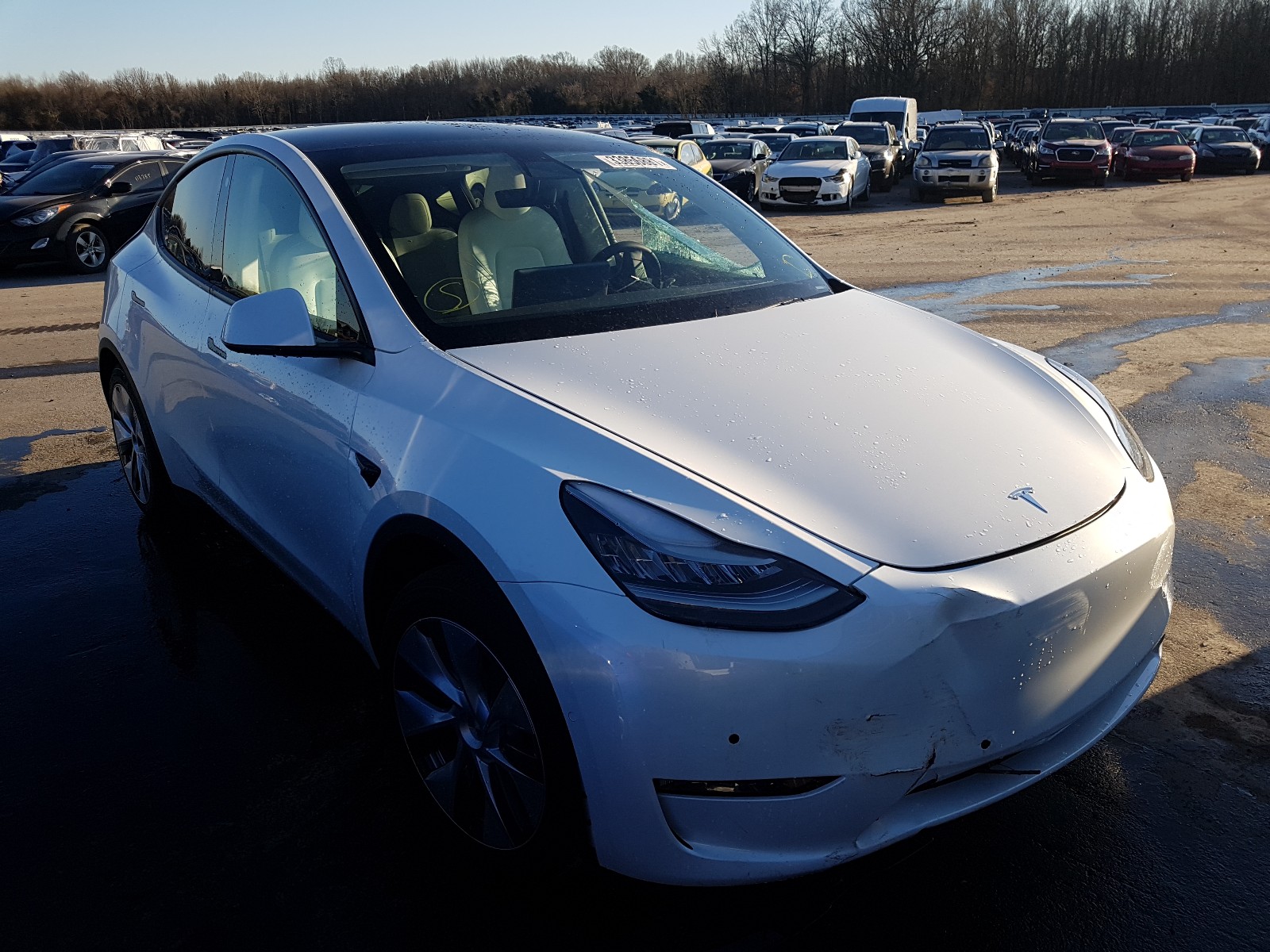 TESLA MODEL Y 2021 5yjygdee9mf085597