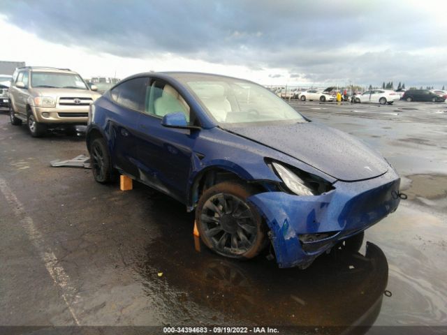 TESLA MODEL Y 2021 5yjygdee9mf093201