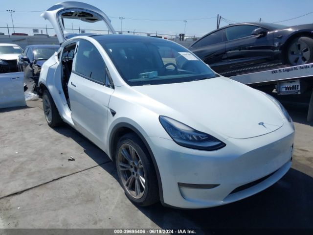 TESLA MODEL Y 2021 5yjygdee9mf096759